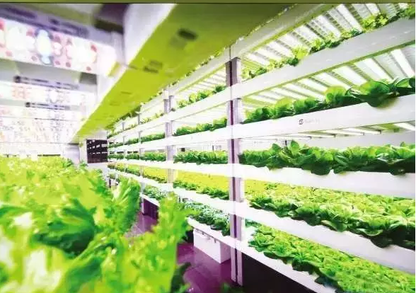 南京諾爾迅亮化，照明亮化工程